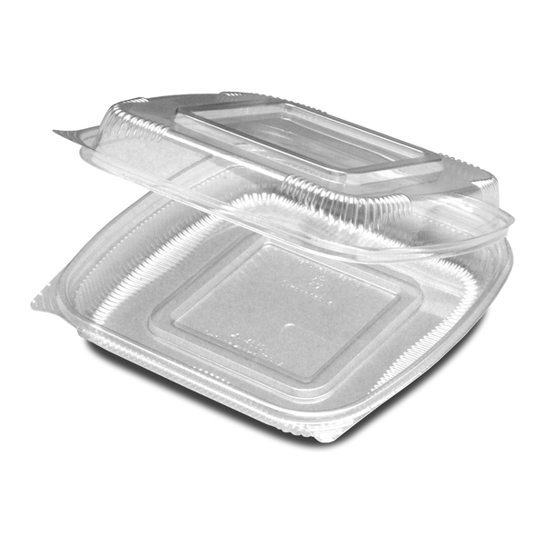 Seeshell Hinged Med Shallow Container, PK160 N30WN
